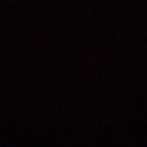 Meet your Posher, Gaga